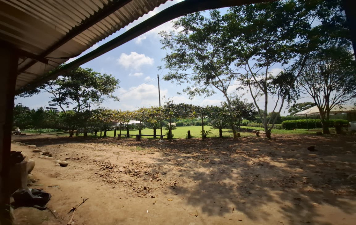 Área Deportiva: Un Escenario Natural 