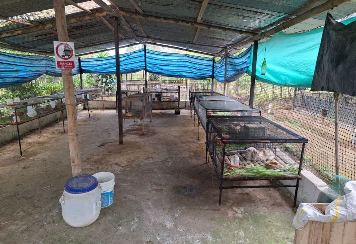 Área de Criadero Sostenible de Cuyes y conejos
