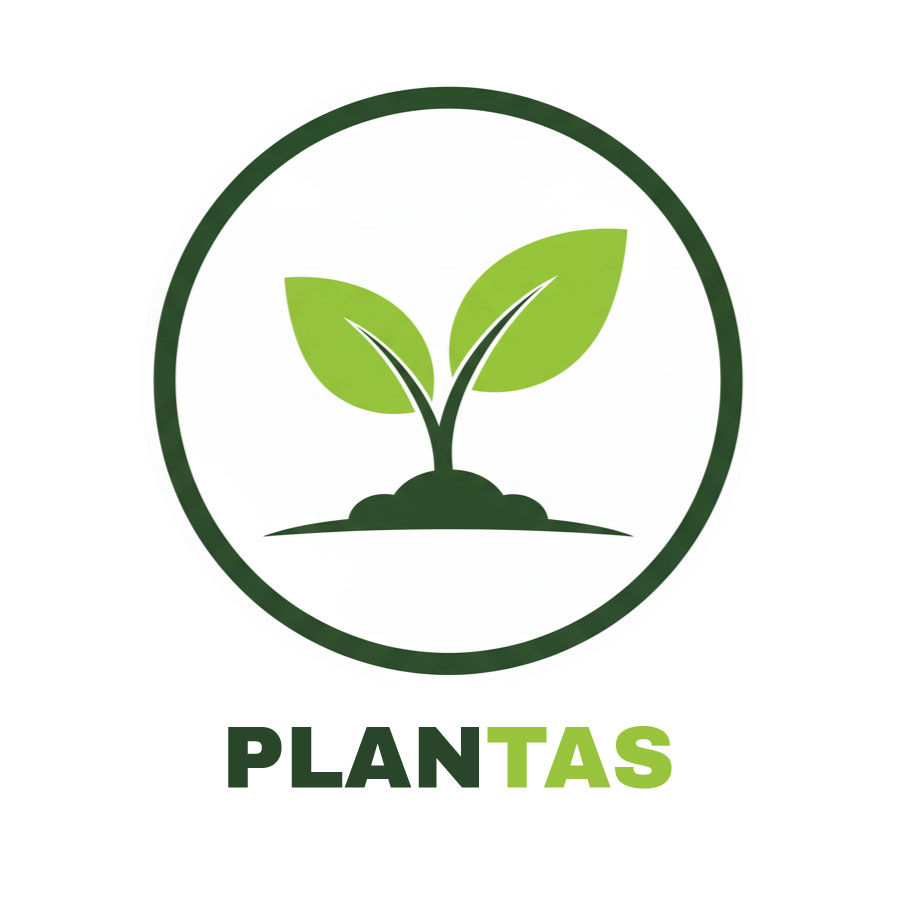 Plantas